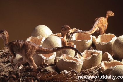 Dinosaurs Laid Eggs, So Do We Classify Them All As Reptiles