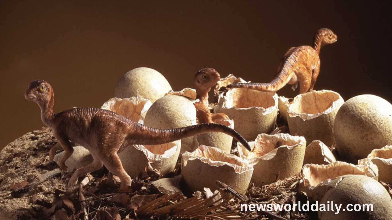 Dinosaurs Laid Eggs, So Do We Classify Them All As Reptiles