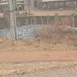 Collected plastic bottles gathered for recycling - 81 Countries, One Habit: Bottled Water Outlives Its Bad Press