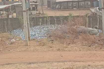 Collected plastic bottles gathered for recycling - 81 Countries, One Habit: Bottled Water Outlives Its Bad Press