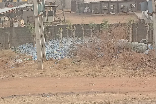 Collected plastic bottles gathered for recycling - 81 Countries, One Habit: Bottled Water Outlives Its Bad Press