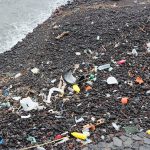 Plastic debris scattered along a sandy beach shoreline