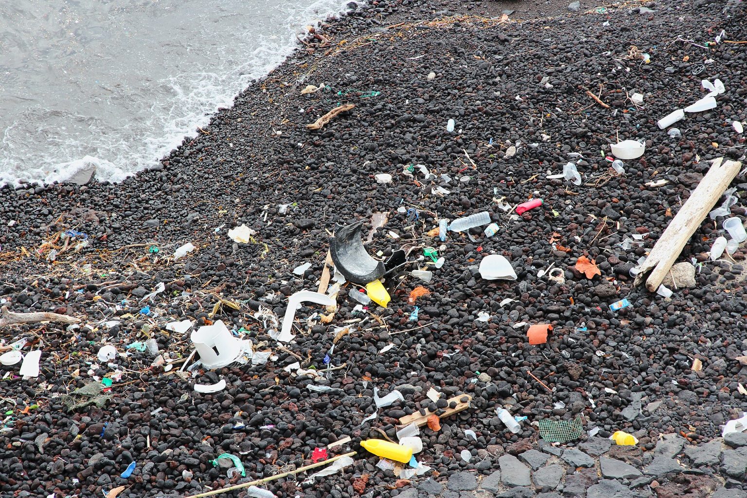 Plastic debris scattered along a sandy beach shoreline