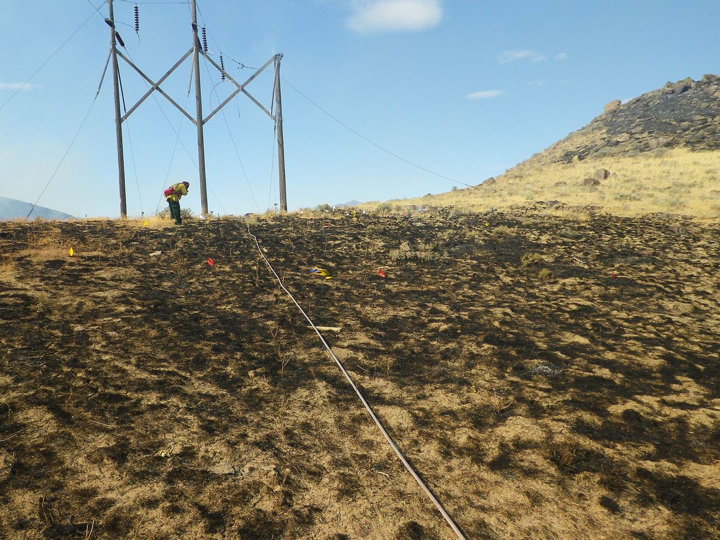 Firefighters working at the edge of a forest wildfire amid smoke